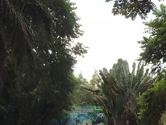 -海南热带野生动植物园