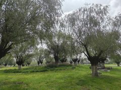 -汉长安城未央宫国家考古遗址公园