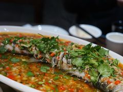 飞虹鱼-飞虹鱼馆(春华路店)