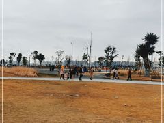 -华侨公园