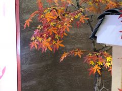 -渔乡米香·剁椒鱼头(四方坪店)