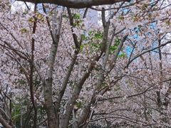 -西北湖绿化广场