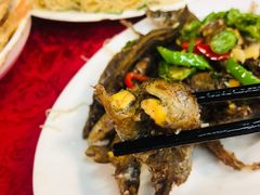 -蛇口康乐快餐鱼仔档(翠苑小区店)