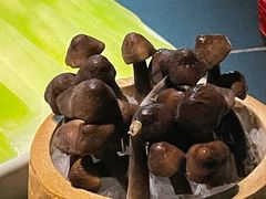 鸡枞-大隐·成都火锅Bistro(合生麒麟新天地店)