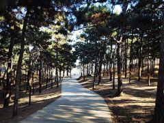 -北京西山国家森林公园