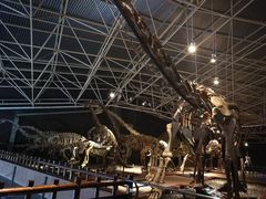 -世界恐龙谷景区