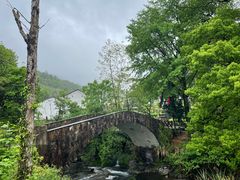 -石台牯牛降景区