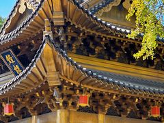 -上海东林寺(金山区)