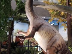 -湖南省地质博物馆