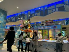 -帝企鹅自助餐厅•儿童岛•真企鹅(长隆企鹅酒店)