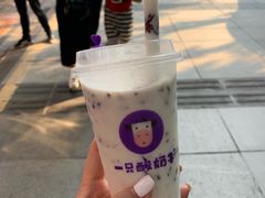 -一只酸奶牛(八一路店)