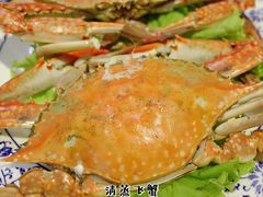 清蒸飞蟹-北方饺子王·海肠捞饭·海鲜锅(山大店)