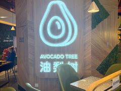 -油梨树AVOCADO TREE(嘉里中心店)