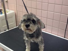 -FAELING PETS美天灵宠物(富力广场店)