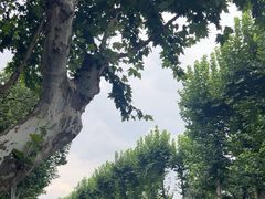 -浙江大学(玉泉校区)
