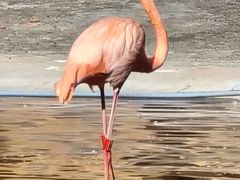 -哈尔滨北方森林动物园