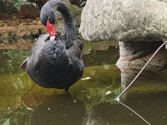 -昆明动物园