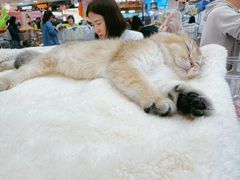 -百联川沙购物中心
