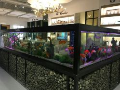 点击看大图 -可爱多国际儿童摄影会馆(龙泉店)
