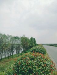 点击看大图 -水八仙生态园