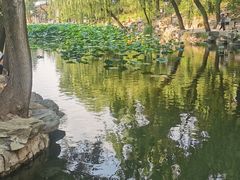 -近春园遗址