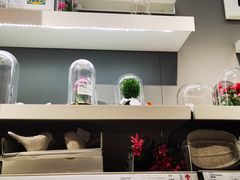 -宜家家居(哈尔滨商场店)