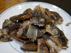 手撕鲫鱼-漳河青花椒鱼头火锅