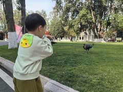 -西昌邛海宾馆