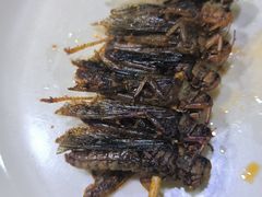 -巴犀烧烤(新崇光店)