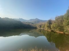 -杭州半山国家森林公园