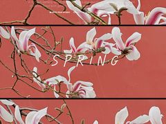 -东华门大街小区