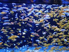 -成都浩海立方海洋公园