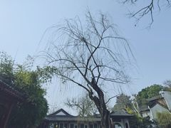 -黄鹤楼