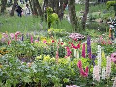 -上海共青森林公园