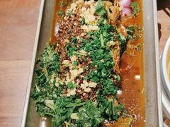 -树厨贵州菜(花果园购物中心店)