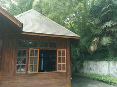 -上海佘山国家森林公园西佘山园