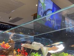 -红辣椒·川菜·火锅(大洋中心店)