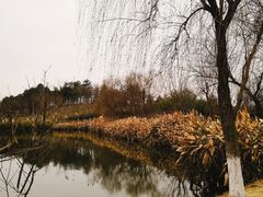 -白鹭湾湿地公园