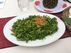 -越海渔村