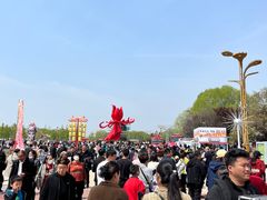 -曹州牡丹园