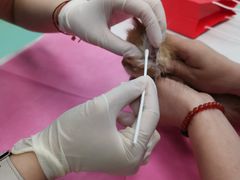 -北京观赏动物医院·24小时大型综合·猫专科·异宠专科