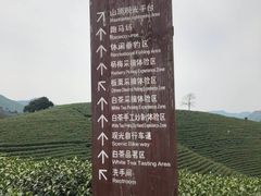 -帐篷客·溪龙茶谷度假酒店