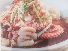 豉油白灼八爪鱼-天和晟烤鸭店(玉泉西街店)