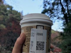 -茶颜悦色(岳麓山顶店)