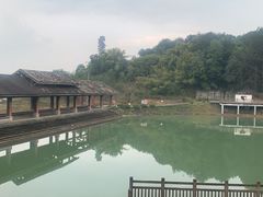 -铁山坪森林公园