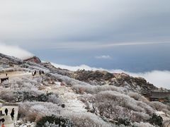-泰山风景名胜区