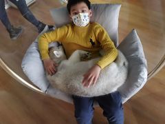 -Husky Go! 哈士奇体验馆·宠物咖啡厅狗咖