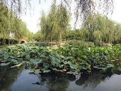 -舍利塔滩地公园-无垢净光舍利塔