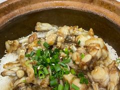 -红星光发煲仔饭(大石街店)