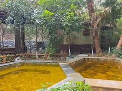 -韶关经律论国际酒店温泉